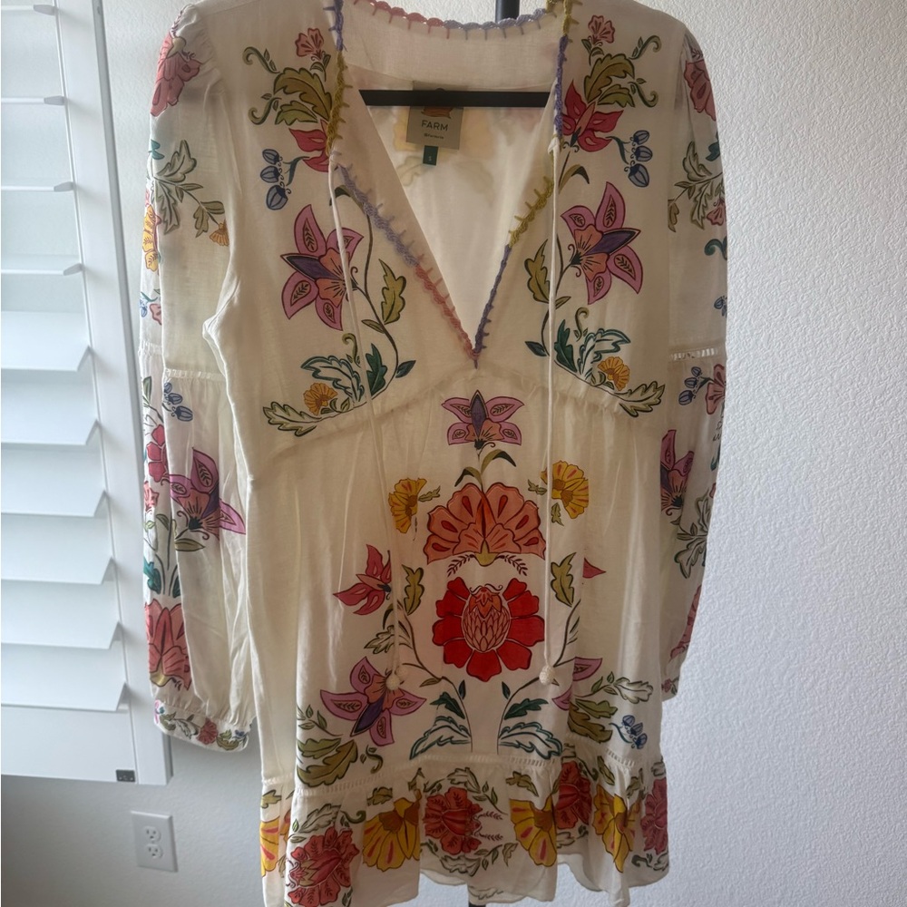 FARM Rio Floral Embroidered Mini Dress - Multicolor
